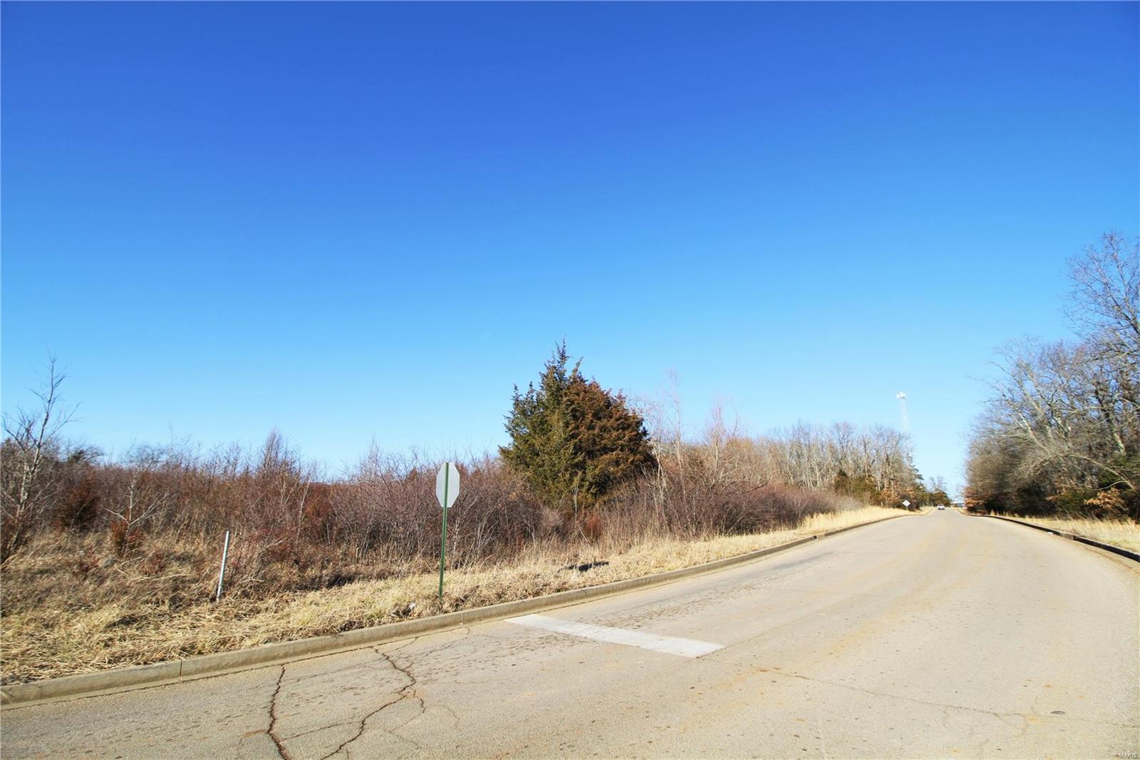 Photo 11 - Commercial Sale for sale – 0  Memorial Drive  Potosi, MO