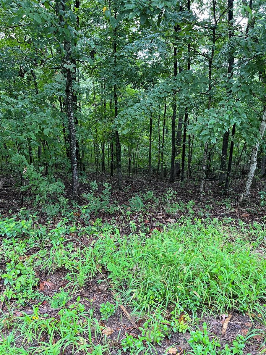 Listing 568466