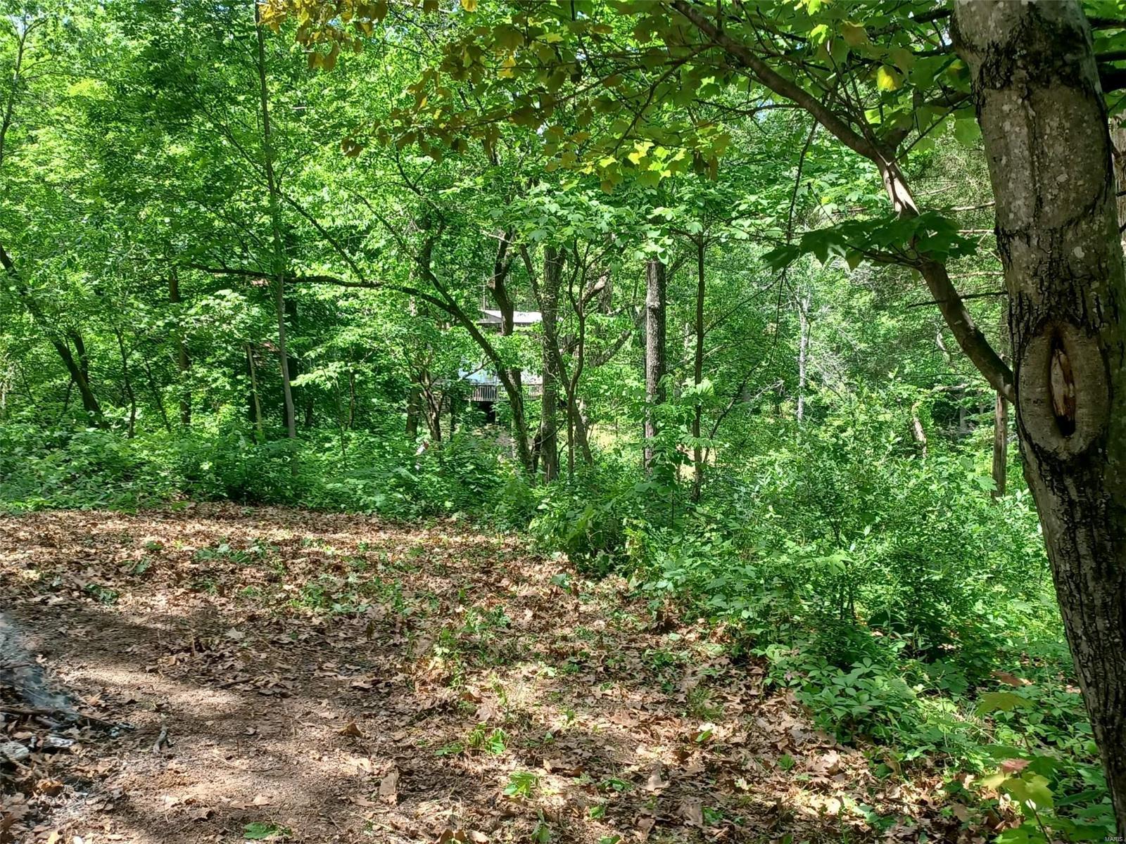 0 Lt 8 14th Annex Dogwood Ste Genevieve, MO 63670 MLS 23025531