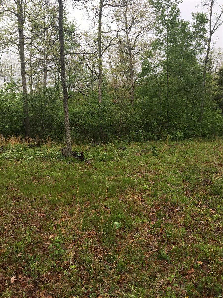 Ironton & Farmington MO Land, Farms & Homes For Sale