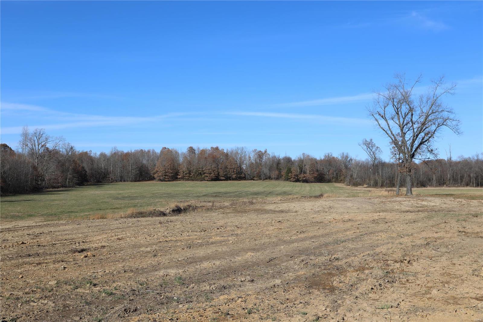 Photo 13 - Farm for sale – 0  US 160   Harviell, MO