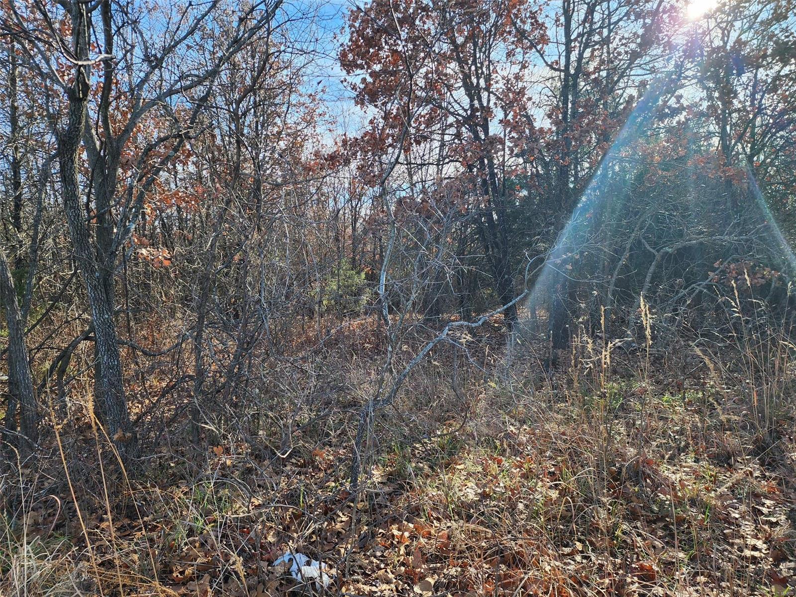 Bucyrus MO Real Estate for Sale 0 Highway 17 MLS 23070892