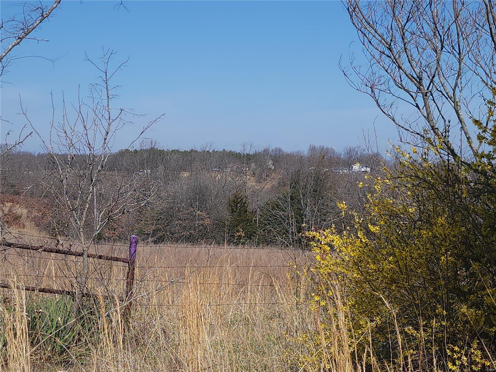 Bucyrus MO Real Estate for Sale 8890 Highway 17 MLS 24015483