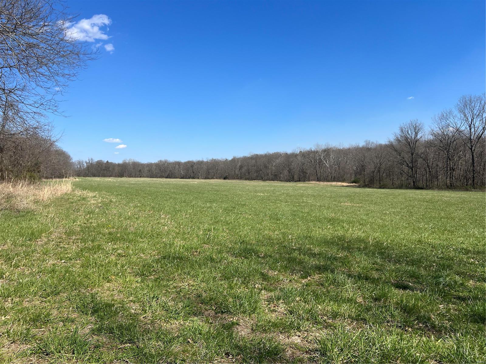 Farm for sale – 650  Gildea   Caledonia, MO