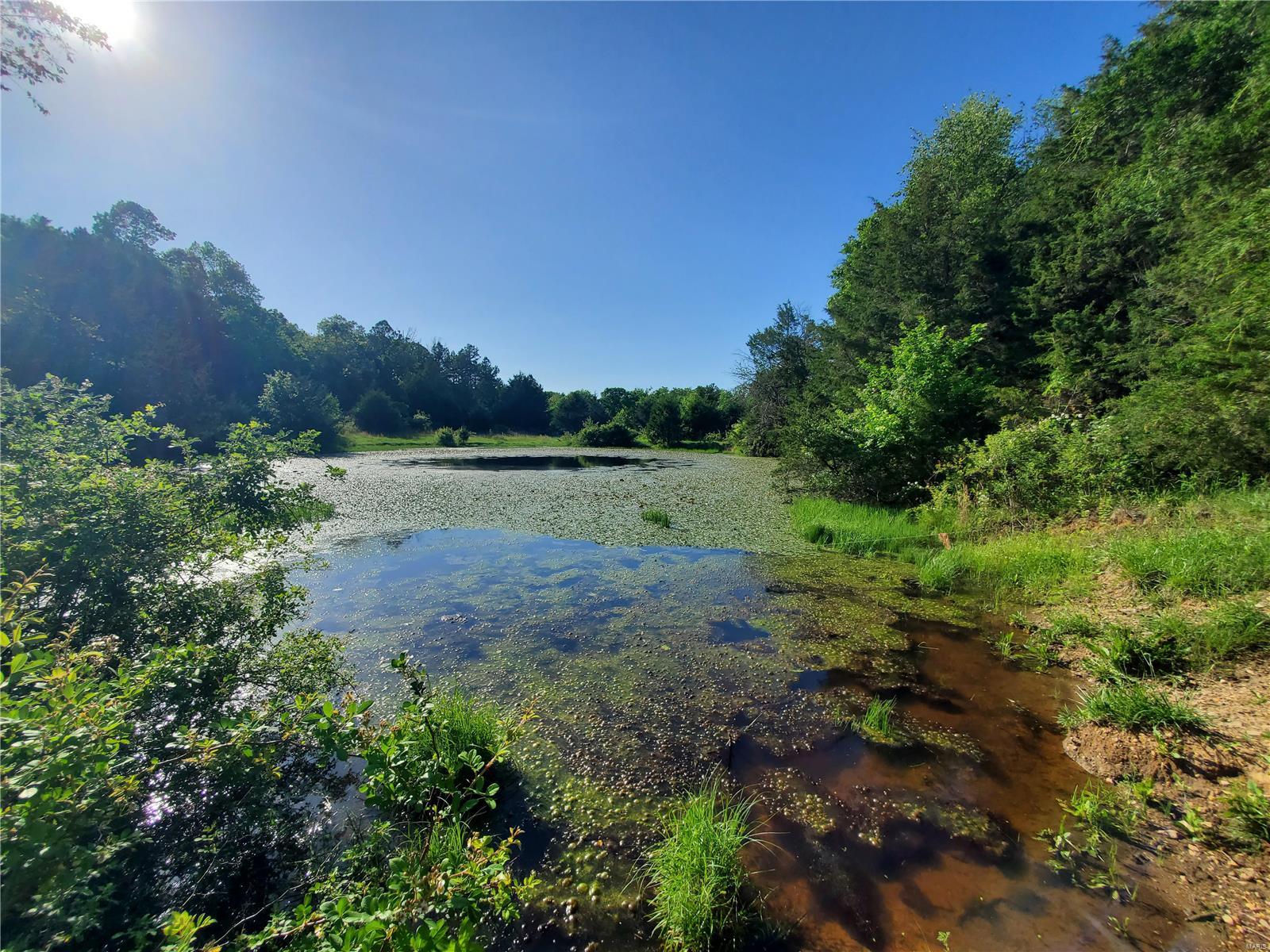 Raymondville MO Real Estate for Sale 19825 Friendship Dr MLS 24031546