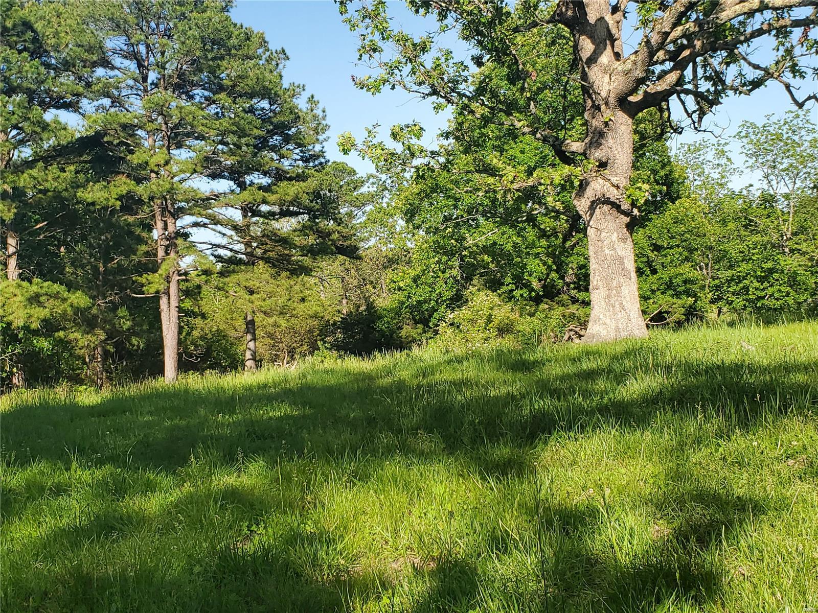 Raymondville MO Real Estate for Sale 19825 Friendship Dr MLS 24031546