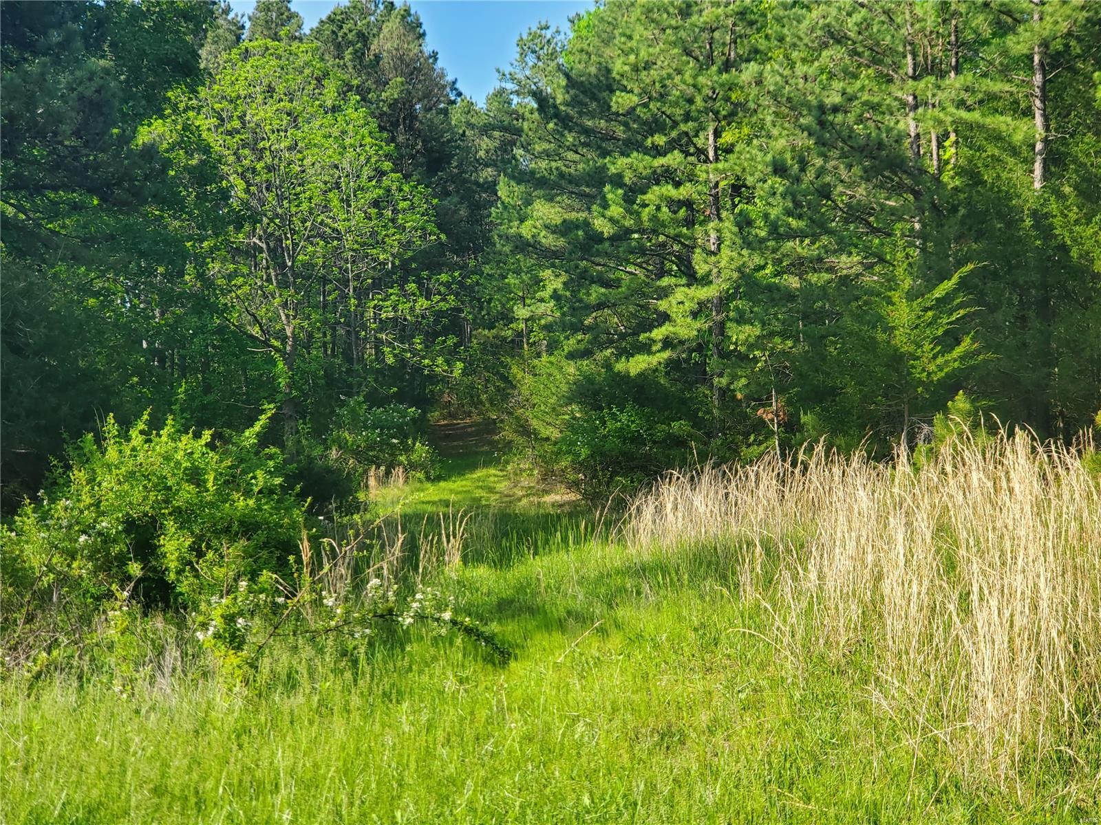 Raymondville MO Real Estate for Sale 19825 Friendship Dr MLS 24031546