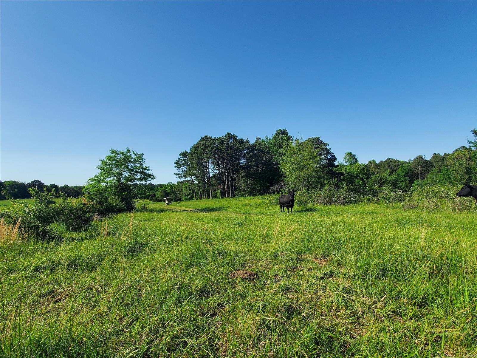 Raymondville MO Real Estate for Sale 19825 Friendship Dr MLS 24031546