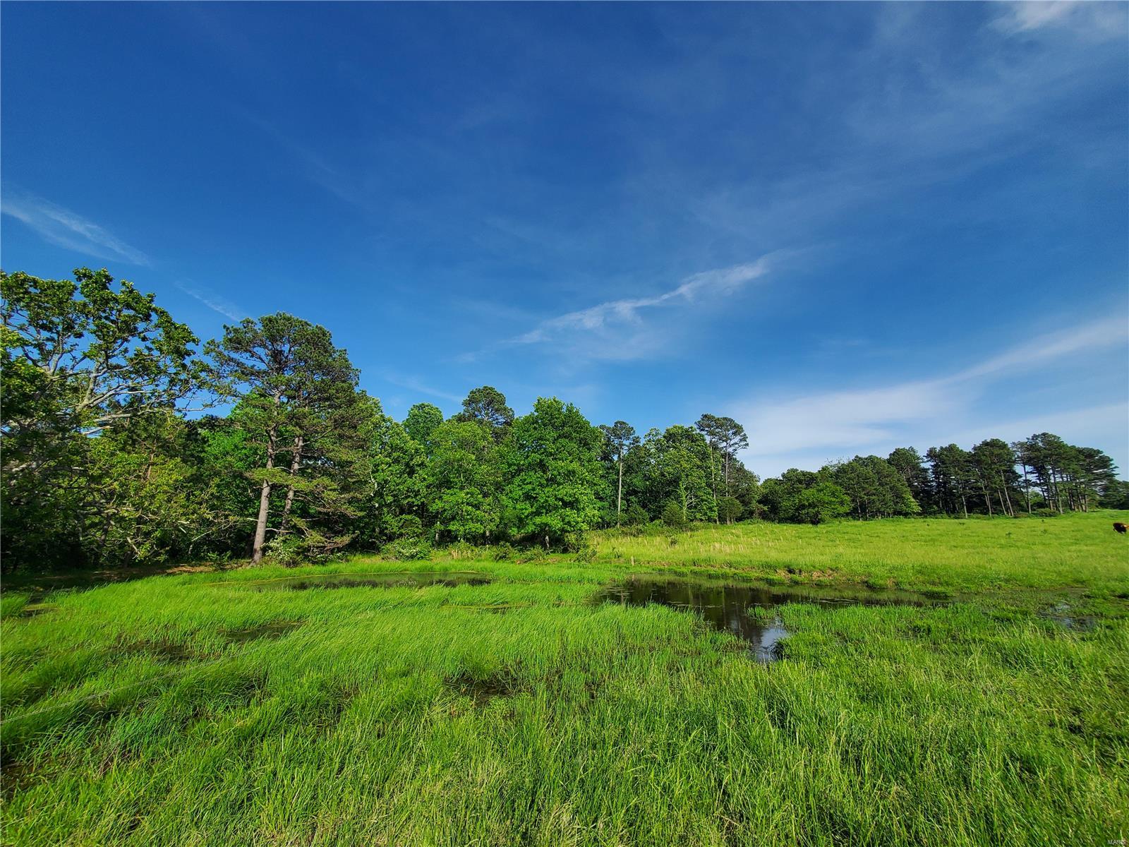 Raymondville MO Real Estate for Sale 19825 Friendship Dr MLS 24031546