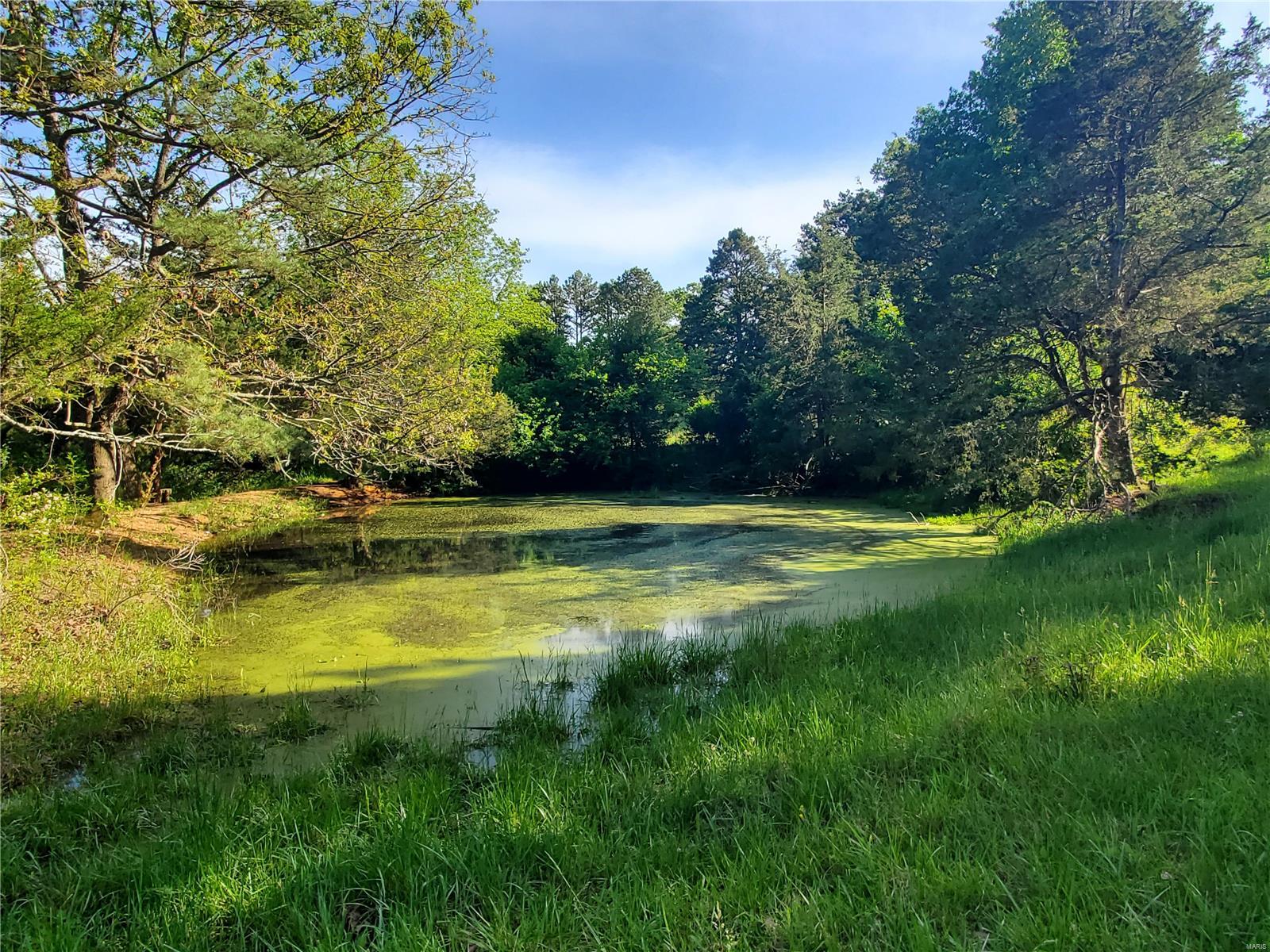 Raymondville MO Real Estate for Sale 19825 Friendship Dr MLS 24031546