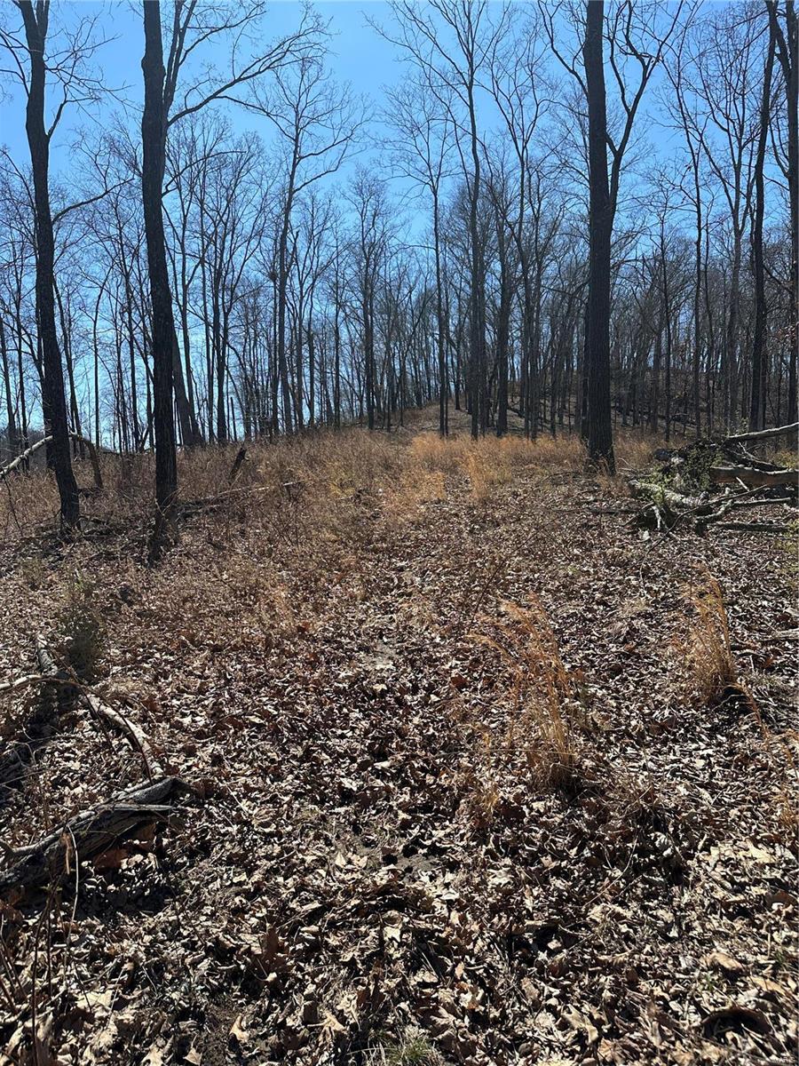 Photo 7 - Land for sale – 7382  Old Lemay Ferry Road  Barnhart, MO