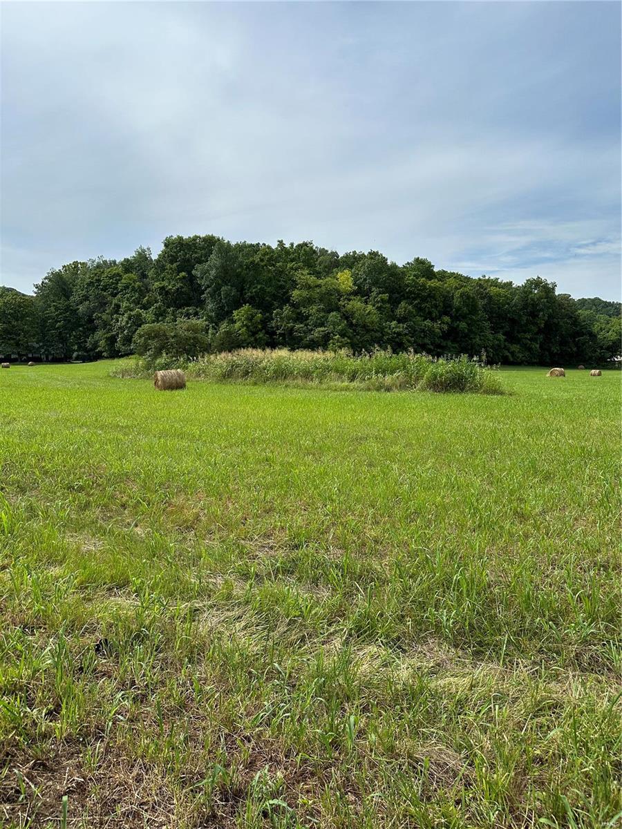 Photo 3 - Land for sale – 7382  Old Lemay Ferry Road  Barnhart, MO