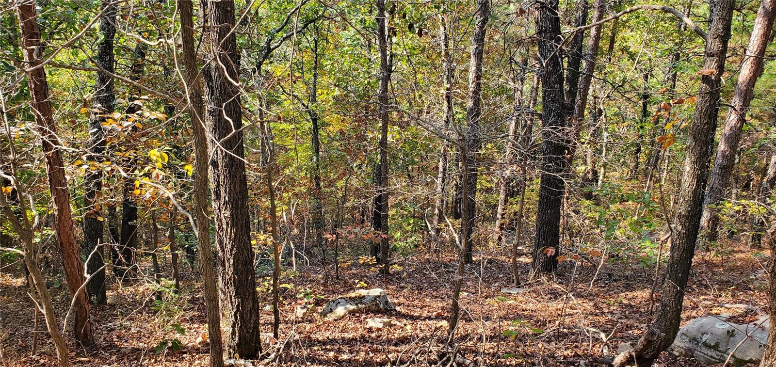 0 West Ashley Rd Licking, MO 65555 MLS 24065173