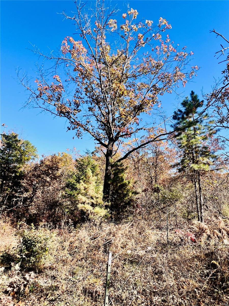 0 Cadle Rd Licking, MO 65542 MLS 24066875