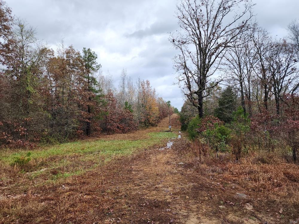 Photo 41 - Farm for sale – 0  Carter 266   Grandin, MO