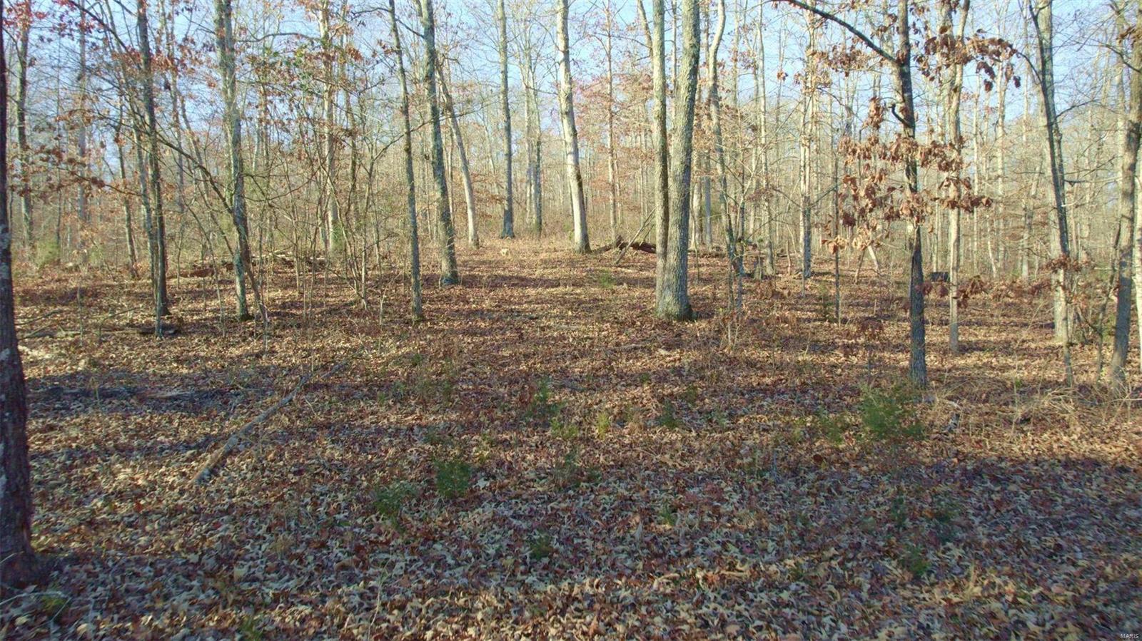 Photo 25 - Farm for sale – 3498  State Highway E   Zalma, MO