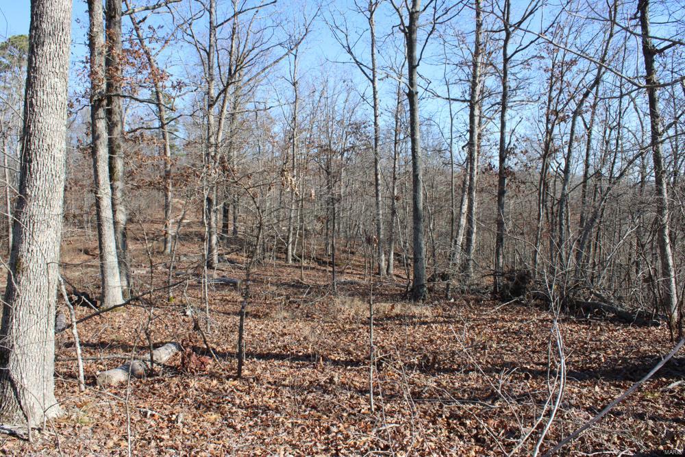 Photo 36 - Farm for sale – 0  County Road 336   Annapolis, MO