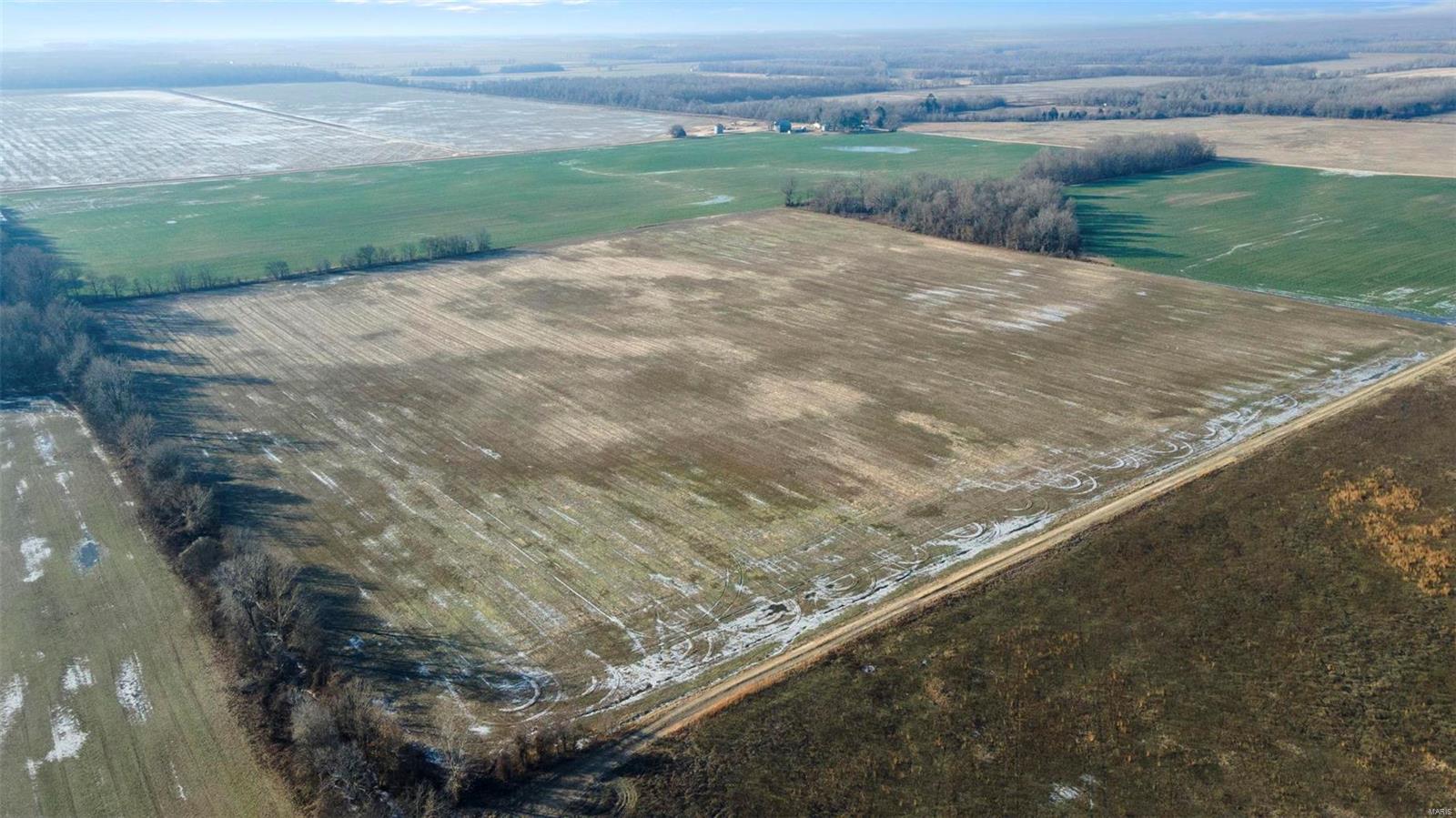 Photo 10 - Farm for sale – 0  County Road 355   Harviell, MO