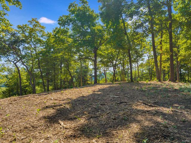 Photo 20 - Land for sale – 0  Schluersburg Road  Augusta, MO