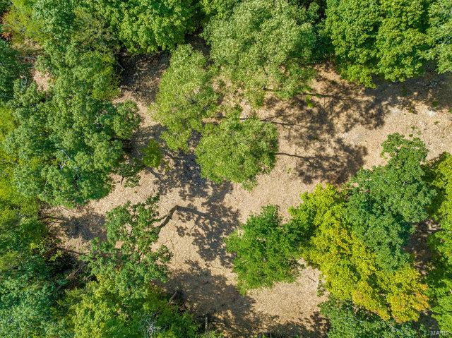 Photo 12 - Land for sale – 0  Schluersburg Road  Augusta, MO