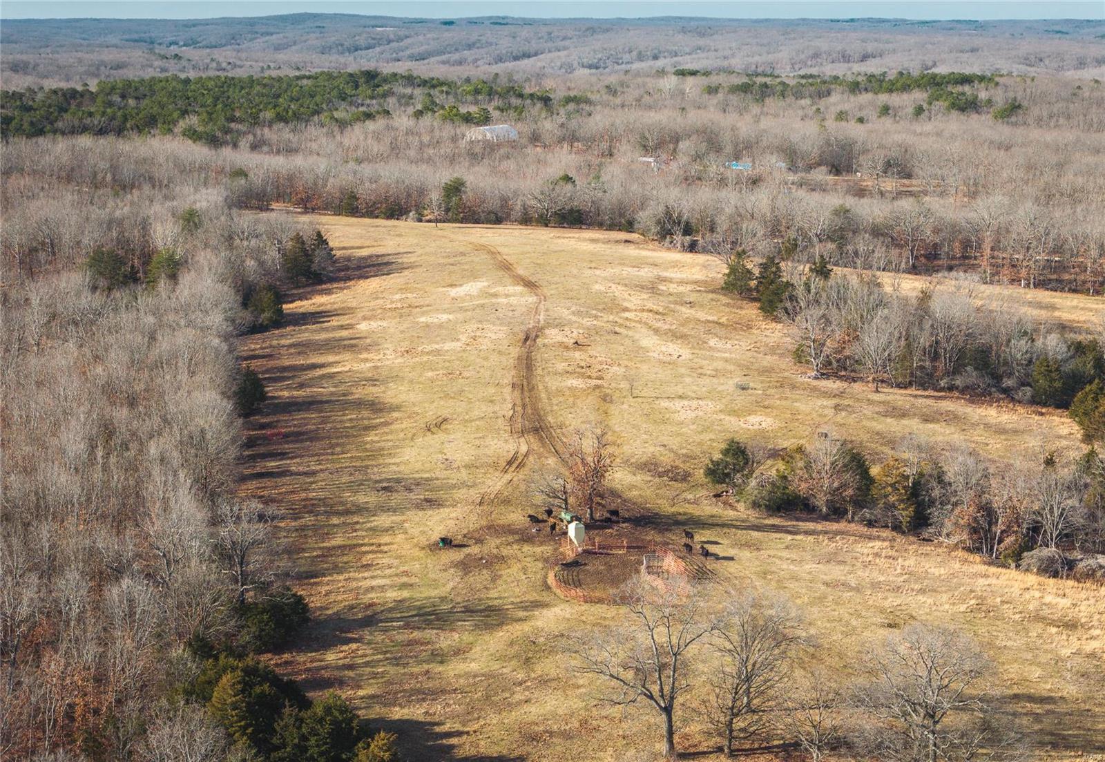 Photo 36 - Farm for sale – 784  Burley Ridge Road  Cook Station, MO