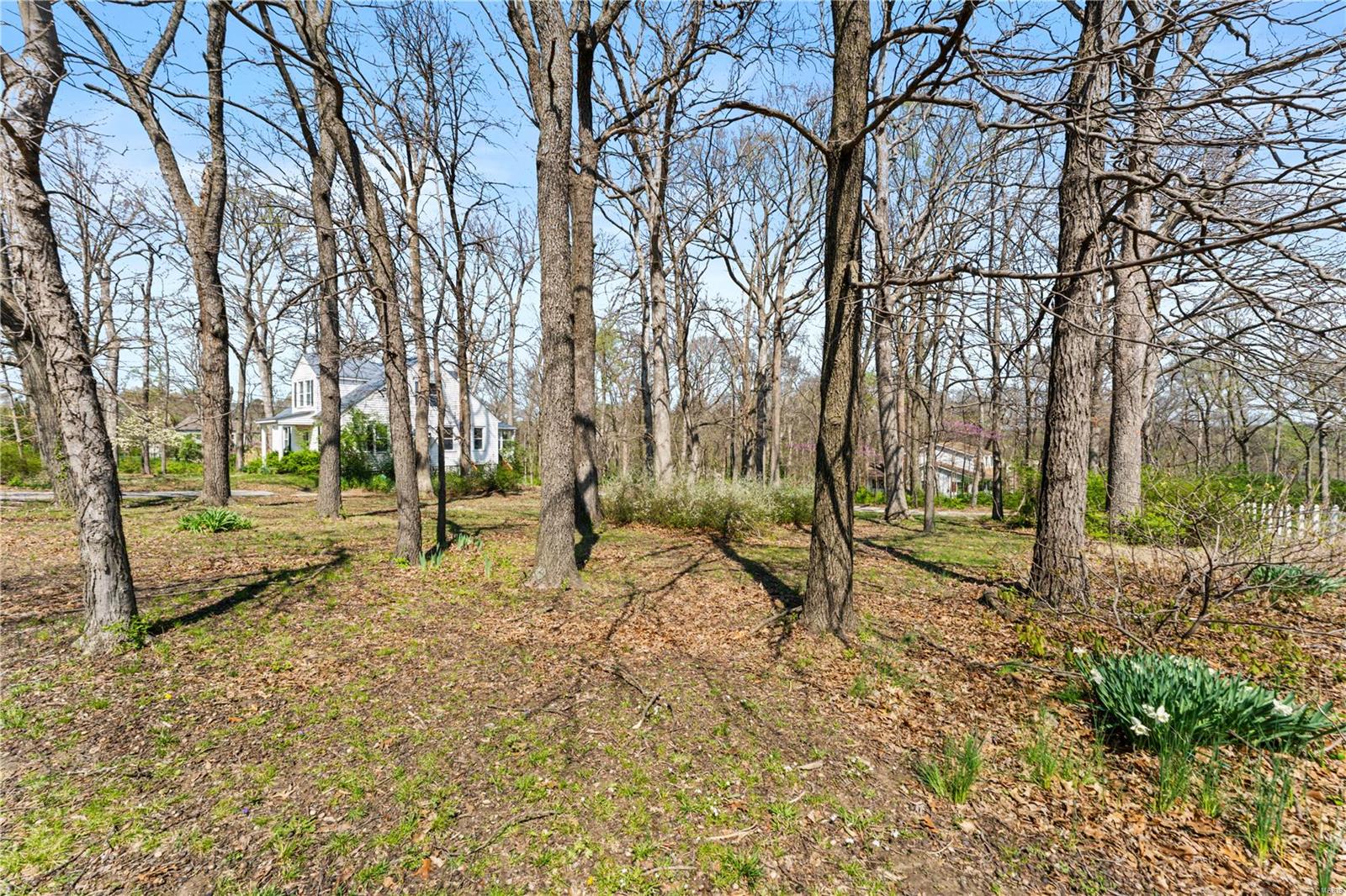 Photo 13 - Land for sale – 1536 S Mason Road  St Louis, MO