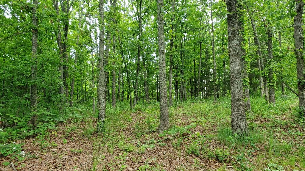Residential for sale – 167  County Road 5045   Salem, MO