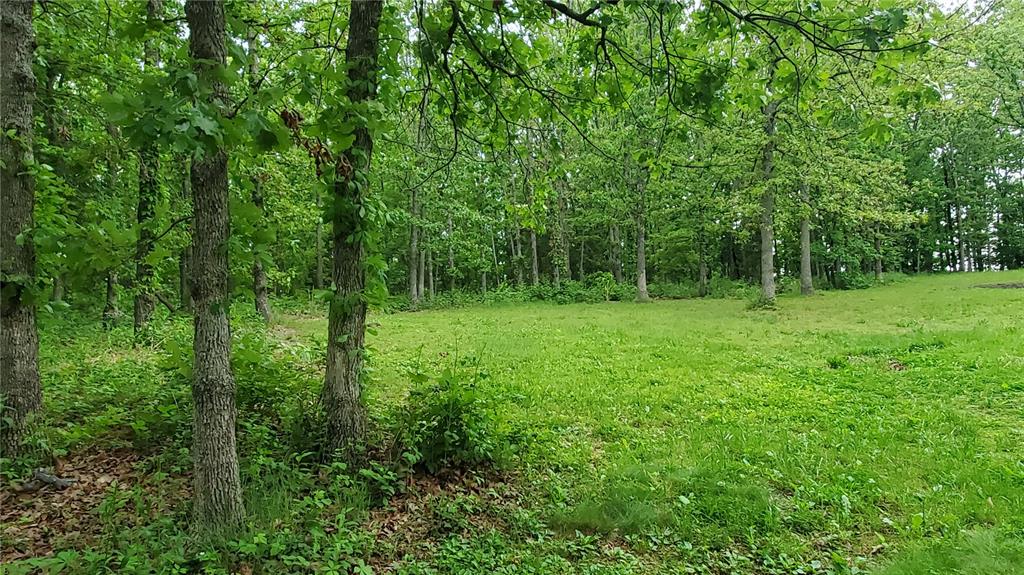 Residential for sale – 167  County Road 5045   Salem, MO
