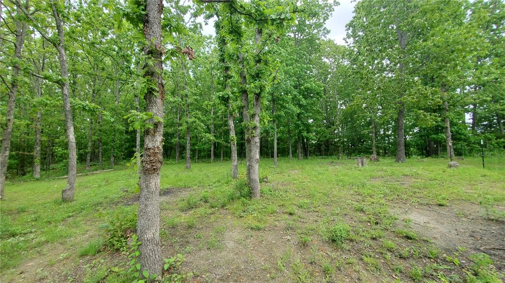 Residential for sale – 167  County Road 5045   Salem, MO