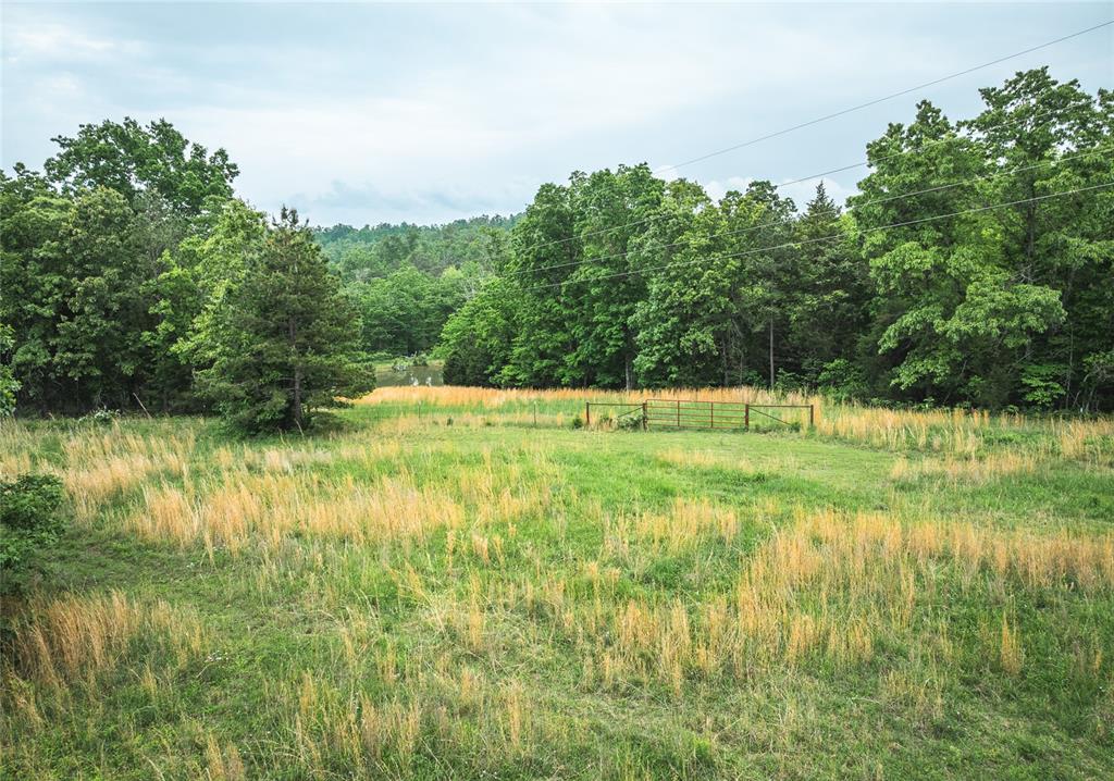 Photo 51 - Farm for sale – 5819  Highway VV   Licking, MO
