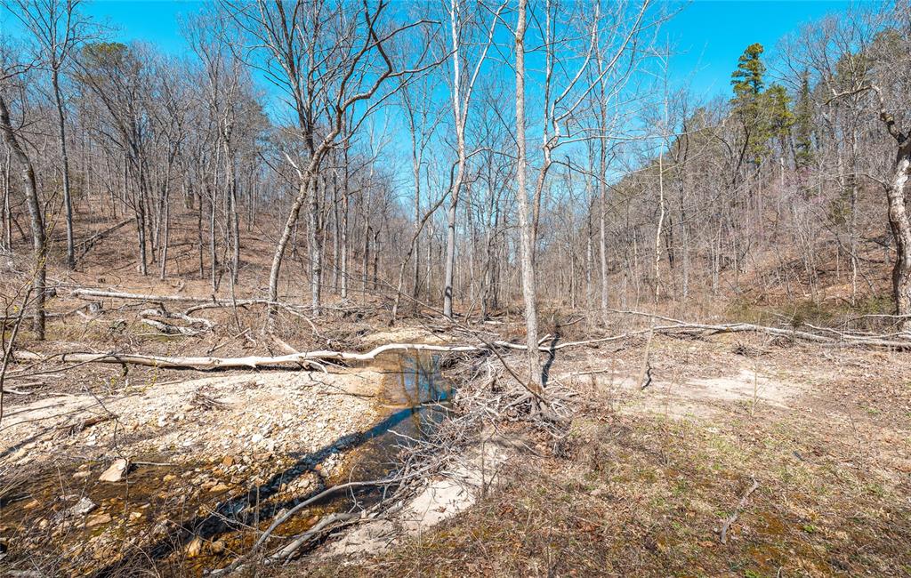 Photo 74 - Farm for sale – 5819  Highway VV   Licking, MO