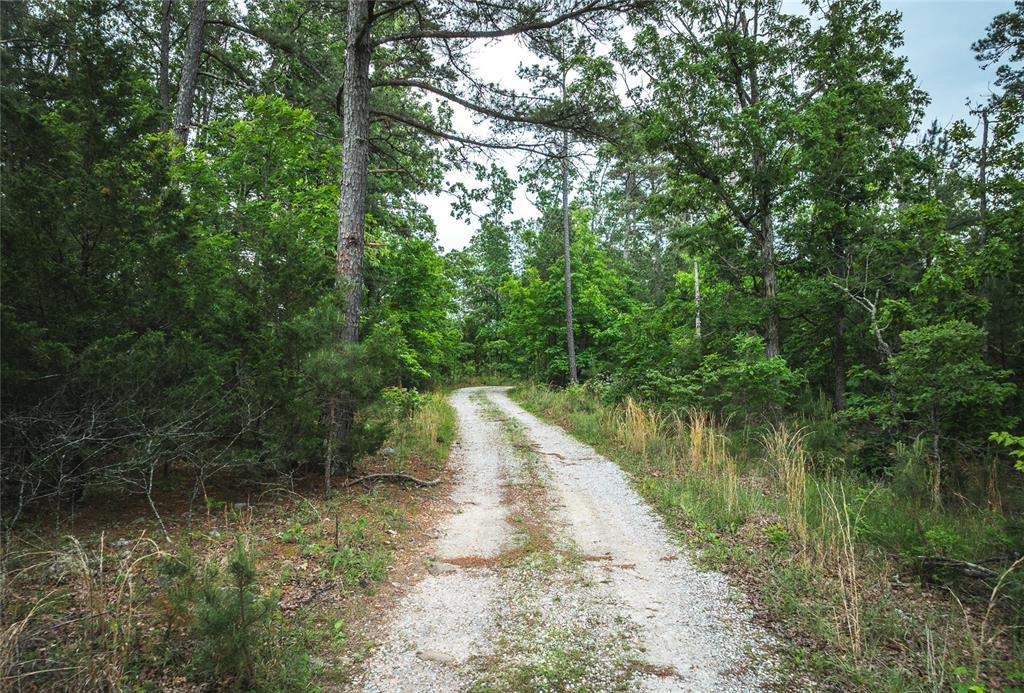 Photo 59 - Farm for sale – 5819  Highway VV   Licking, MO