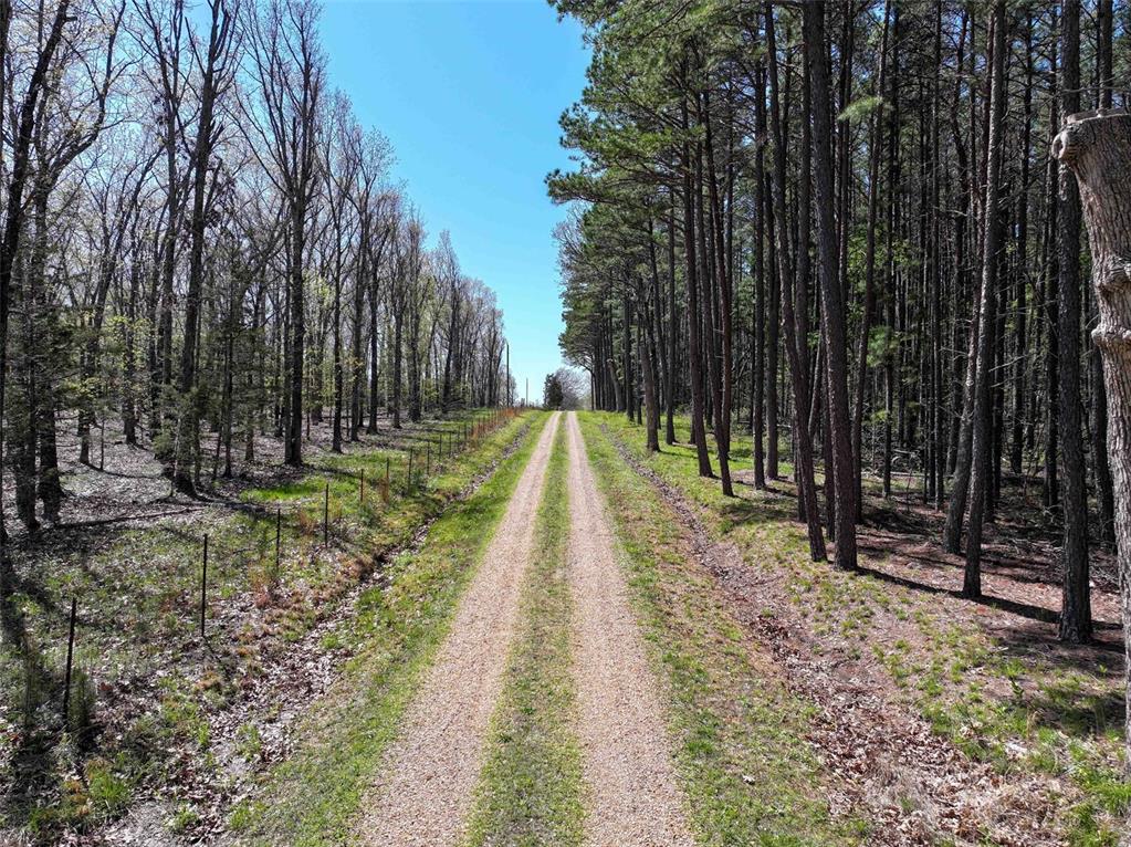 Photo 3 - Farm for sale – 00  Hwy HH   Cherryville, MO