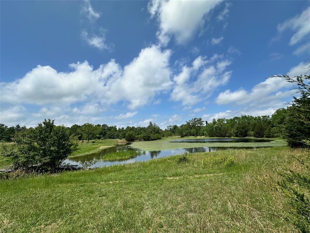 Farm/Ranch/Land for sale – 3109  CR WW-B   Summersville, MO