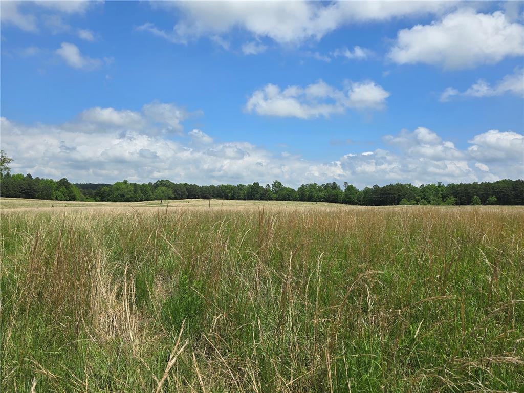 Farm/Ranch/Land for sale – 3109  CR WW-B   Summersville, MO