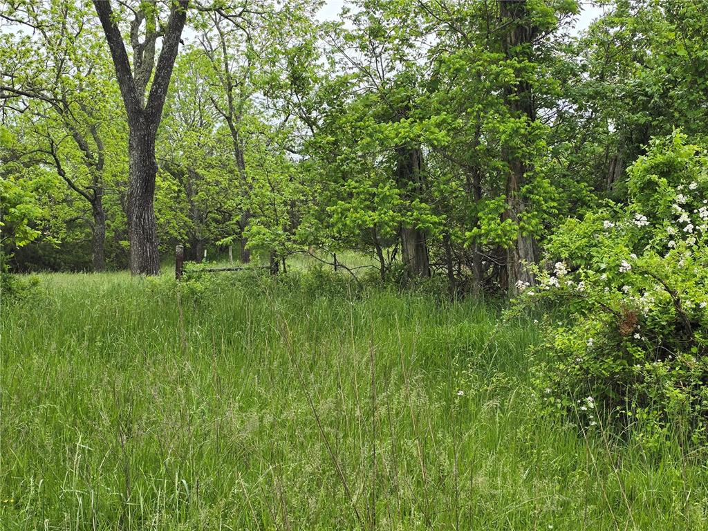 Farm/Ranch/Land for sale – 3109  CR WW-B   Summersville, MO