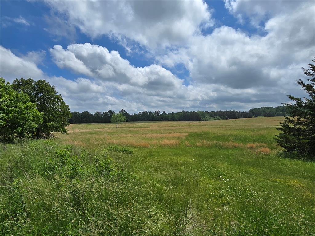 Farm/Ranch/Land for sale – 3109  CR WW-B   Summersville, MO