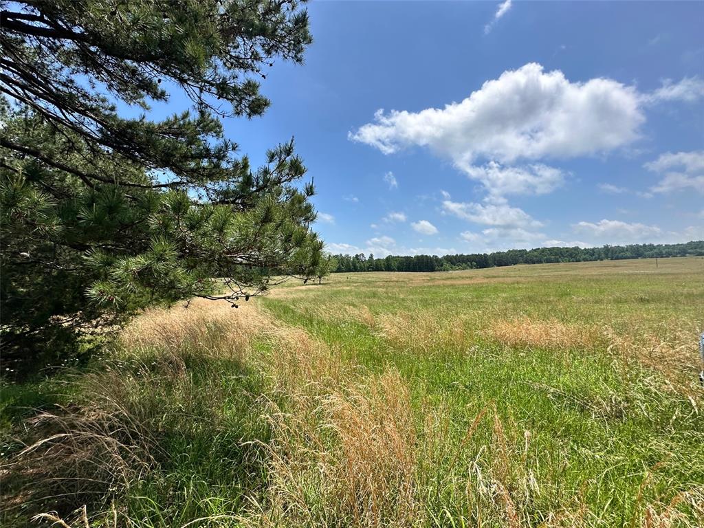 Farm/Ranch/Land for sale – 3109  CR WW-B   Summersville, MO