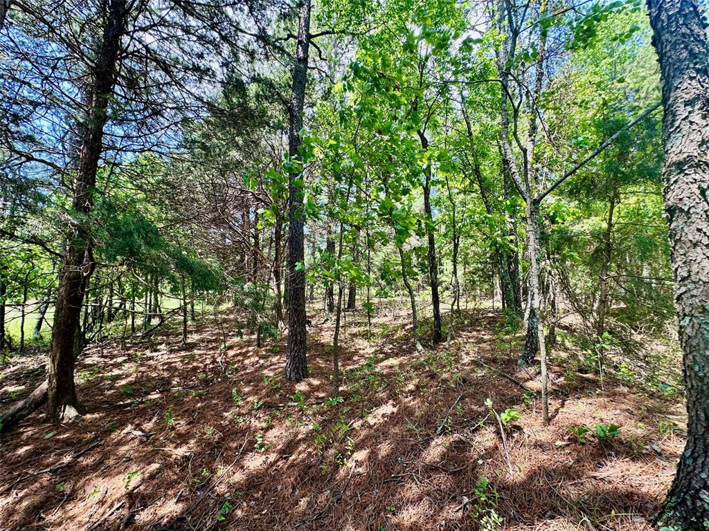 Farm/Ranch/Land for sale – 3109  CR WW-B   Summersville, MO