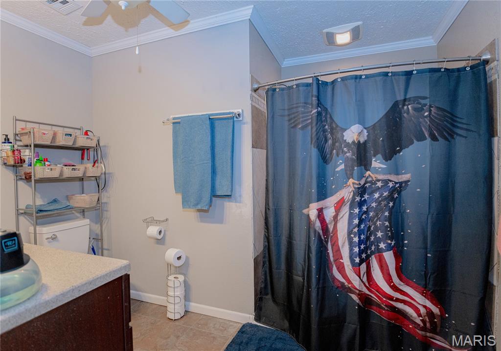 Photo 19 - Residential for sale – 606 N Charles Avenue  St James, MO