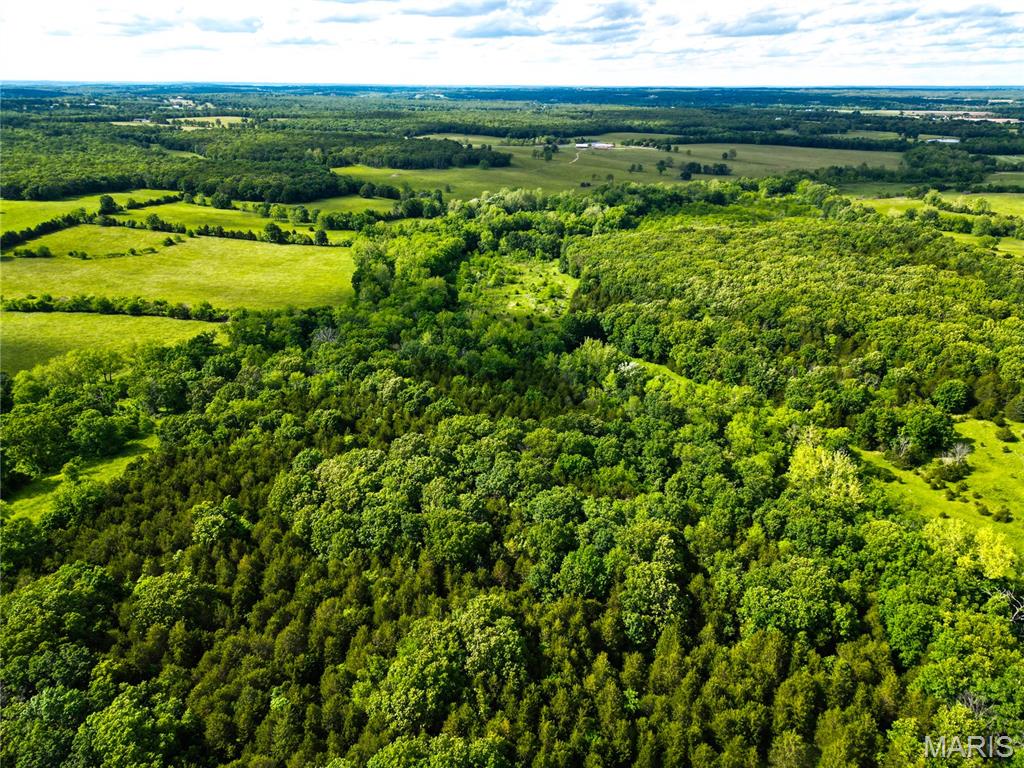 Photo 5 - Land for sale – 0  HWY C   Belle, MO