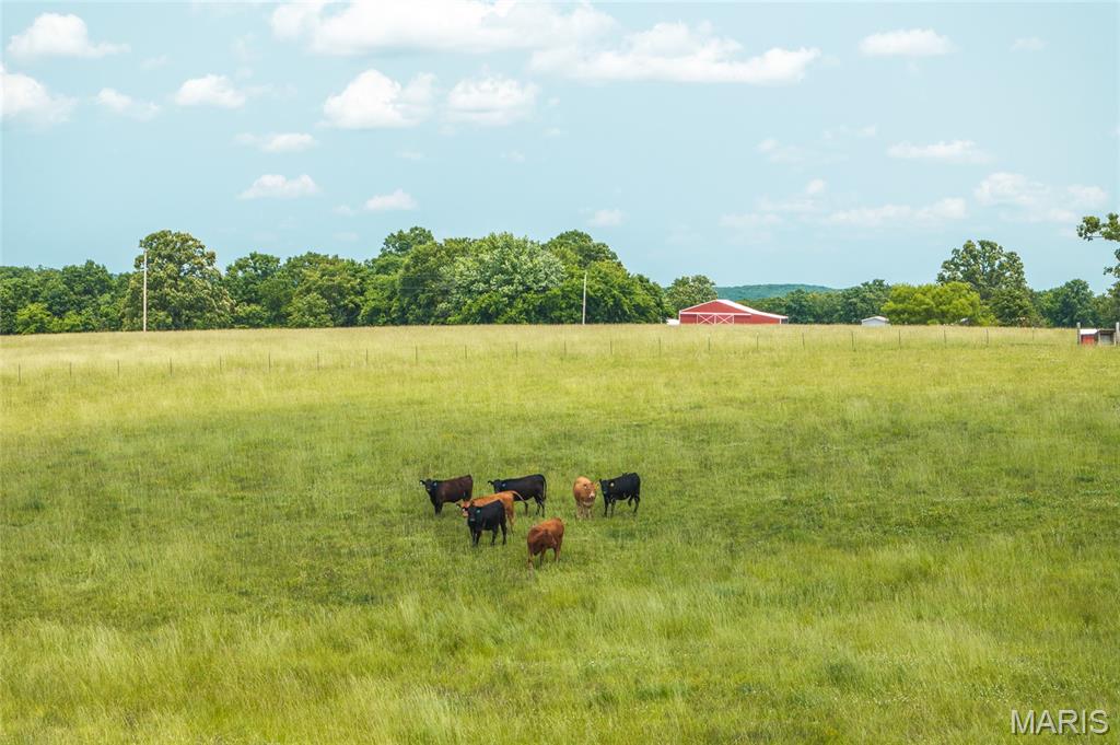 Photo 12 - Land for sale – TBD  Private Drive 3215 (Tract#1)   Rolla, MO