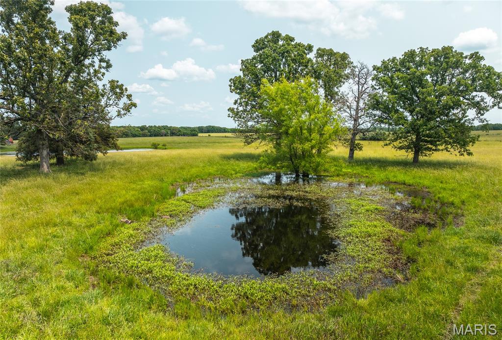 Photo 15 - Land for sale – TBD  Private Drive 3215 (Tract#1)   Rolla, MO