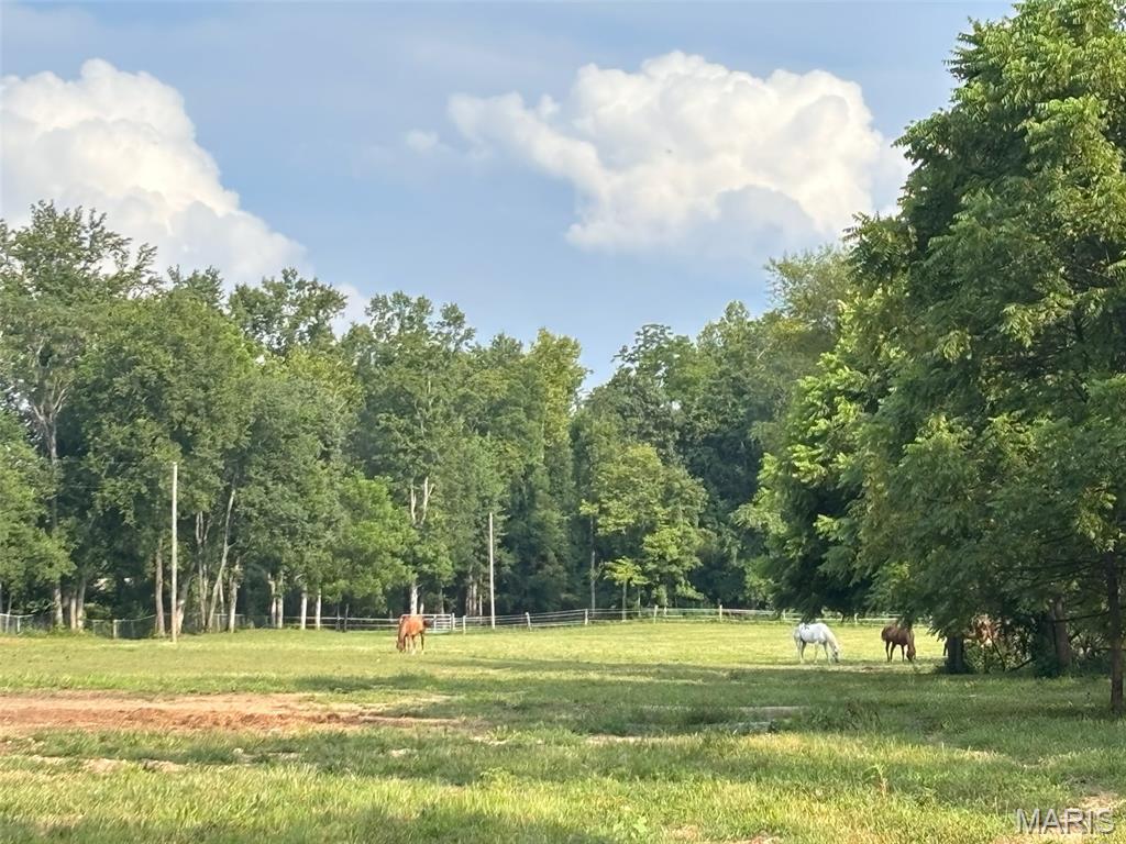 Farm/Ranch/Land for sale – 352  Madison Wayne 9305 Marquand   Unincorporated, MO