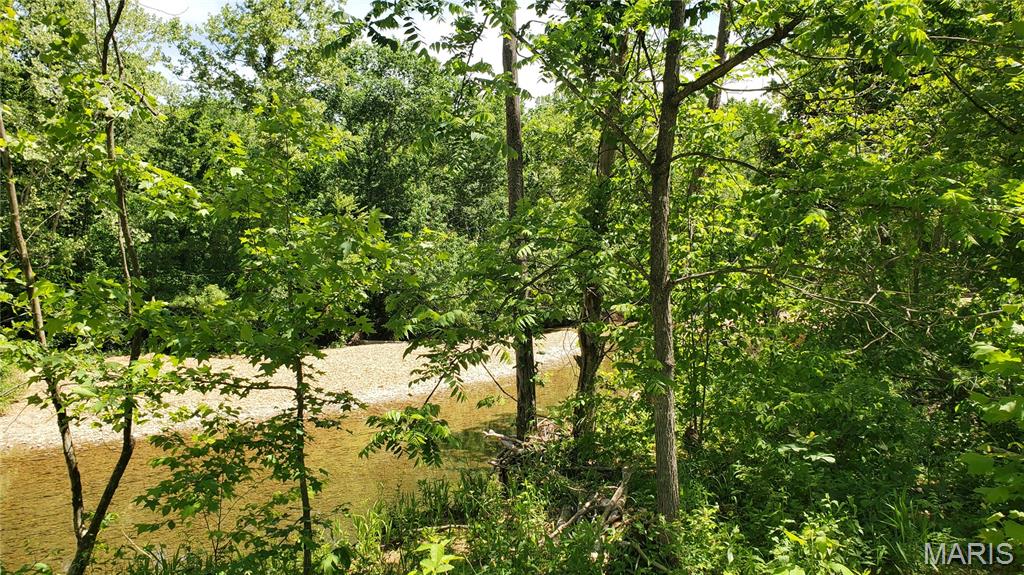 Farm/Ranch/Land for sale – 352  Madison Wayne 9305 Marquand   Unincorporated, MO