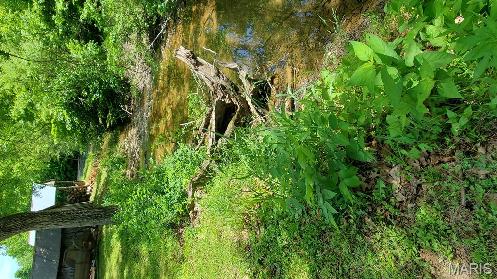 Farm/Ranch/Land for sale – 352  Madison Wayne 9305 Marquand   Unincorporated, MO