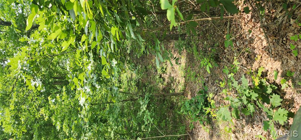 Photo 10 - Farm for sale – 12069  highway k   Jadwin, MO