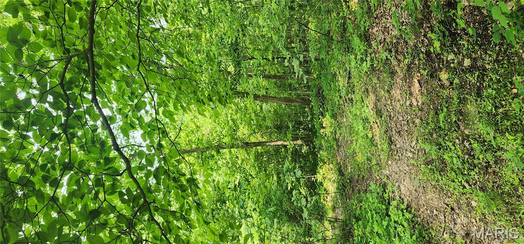 Photo 4 - Farm for sale – 12069  highway k   Jadwin, MO