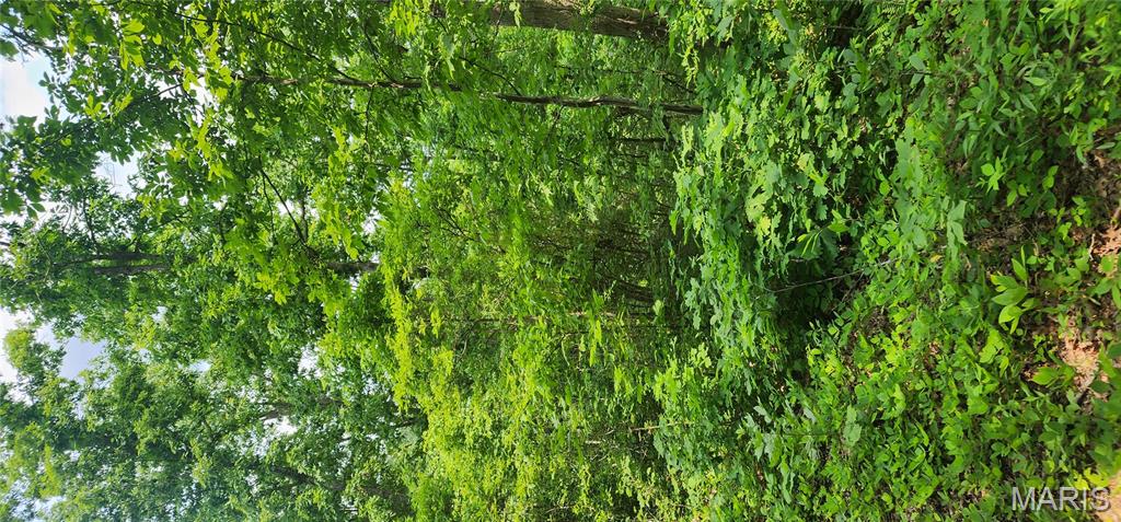 Photo 2 - Farm for sale – 12069  highway k   Jadwin, MO