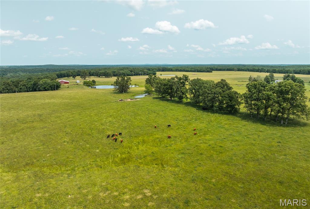Photo 10 - Land for sale – TBD  Private Drive 3215 (Tract #2)   Rolla, MO